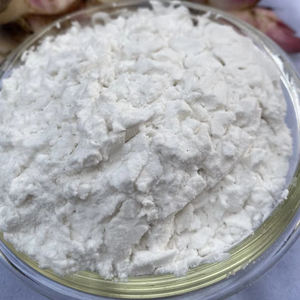 Almidón de Araroto Orgánico de Primera Calidad, Precio Económico, Sabor Natural para Alimentos e Ingredientes, Empacado en Bolsa, Origen Vietnam - Product Image 1