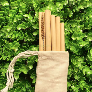 Pajitas de bambú reutilizables para beber, venta al por mayor, Eco2go, Vietnam - Product Image 2