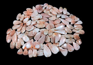 Natural Pink Scolecite Pair Cabochon Loose Gemstone <b>Healing</b> <b>Crystal</b> Quartz Wholesale Bulk Gemstone Cabs - Product Image 2