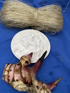 Amidon de manioc vietnamien de haute qualité, sans gluten, épaississant naturel pour la pâtisserie, la cuisine et l'exportation internationale - Product Image 6