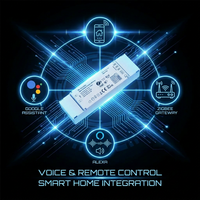 PB-12A-2(WZS) 100 ~ 240VAC 2CH tuya диммер Zigbee постоянный ток затемнения светодиодный драйвер WIFI CCT Диммируемый