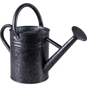 Arrosoir classique en métal noir en acier galvanisé avec buse de pulvérisation détachable pour jardin et usage extérieur - Product Image 1