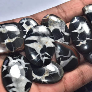 Venta al por mayor de cabujones de septariano negro natural de alta calidad con forma de nido de araña, piedras preciosas sueltas para joyería. - Product Image 1