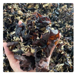 HONGO NEGRO SECO EMPAQUETADO PERSONALIZADO PARA SOPA DIETICA Y ROLLOS DE PRIMAVERA - Product Image 3