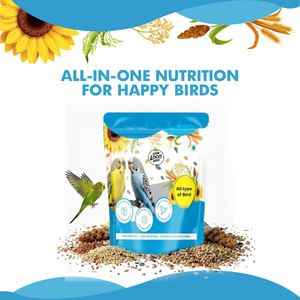Mélange de Graines de Millet Premium OEM ODM pour Oiseaux – Mélange Multi-Céréales Naturel pour la Nutrition, le Soutien Immunitaire et la Santé Digestive des Perroquets et des Perruches - Product Image 6