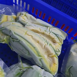 Pulpe et morceaux d'avocat surgelés IQF de haute qualité - Avocat frais surgelé naturel - Product Image 4