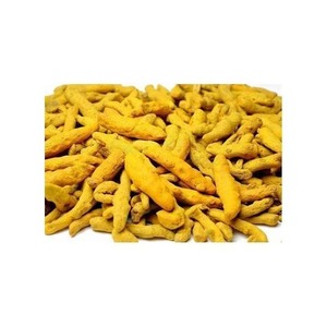Fabricante de Dedos de Cúrcuma, Grado Alimenticio, Suministro al por Mayor a Granel - Product Image 2