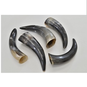Corne à boire en corne de buffle de forme naturelle, qualité supérieure, corne à boire viking authentique, sans danger pour les aliments - Product Image 5