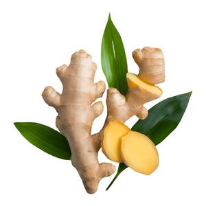 ผู้จัดจำหน่ายขิงสดพรีเมียมจากเวียดนามสำหรับผู้นำเข้าระหว่างประเทศ ผู้ผลิตอาหารและเครื่องดื่ม - แบรนด์ EXPAD - Product Image 2