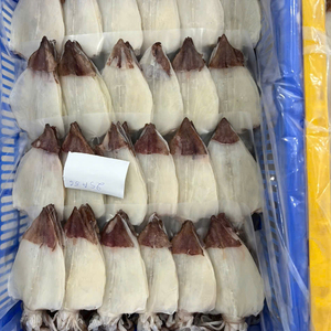 Cumi-cumi Kering Vietnam Premium – Hasil Laut Alami yang Dikeringkan dengan Sinar Matahari, Kualitas Tinggi untuk Ekspor Grosir