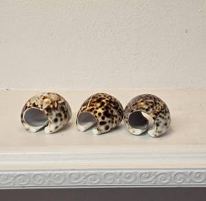 Seashell Napkin Holder Coastal Dining <b>Table</b> Decor Natural Shell Stand for Restaurant Hotel Resort Home and Beach House Styling - Product Image 5
