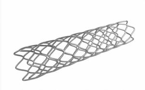 การประกันคุณภาพ อุปกรณ์การแพทย์ การประเมินความปลอดภัยและความเข้ากันได้ทางชีวภาพ บริการทดสอบความเป็นพิษต่อดวงจรเซลล์ที่มีความแม่นยำสูง - Product Image 3