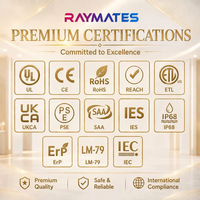 Feuille lumineuse LED flexible professionnelle UL/ETL super fine 4-en-1 RGBW 24V 25W 1500LM L10000*W240mm pour enseignes publicitaires et éclairage de boîtes lumineuses