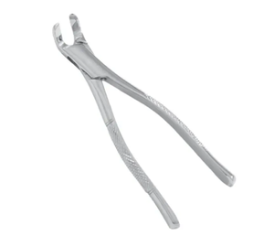 คีมถอนฟันม้าคุณภาพพรีเมียม เครื่องมือถอนฟันสำหรับสัตว์ - Product Image 6