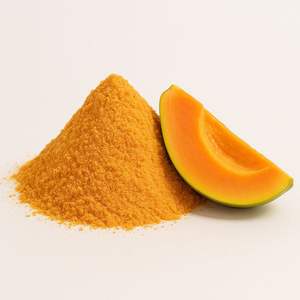 WARRLY Extracto de Semilla de Calabaza en Polvo Premium 99% Grado Alimenticio Secado por Aire Caliente Suministro a Granel Fabricante OEM Gujarat Botella/Tambor - Product Image 5