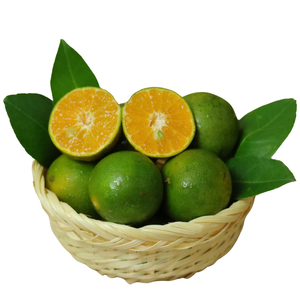 Calamansi Fresco de Vietnam _ Suministro al por Mayor para Importadores Internacionales - Product Image 1