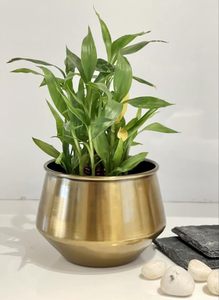 Maceta Metálica con Soporte para Plantas, para Sala de Estar, Balcón, Jardín, Interior y Exterior, Contenedor Decorativo para Plantas, Moderno y Elevado - Product Image 6