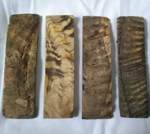 Plaques de Couteau en Corne de Bélier Polie et Sculptée, Matériel Organique, Naturelles, Écologiques, Style Nautique Japonais Antique - Product Image 4