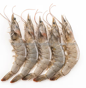 Crevettes surgelées épluchées et éviscérées de qualité supérieure, les plus vendues en gros, qualité alimentaire, en vrac, prêtes à être expédiées à l'exportation - Product Image 2