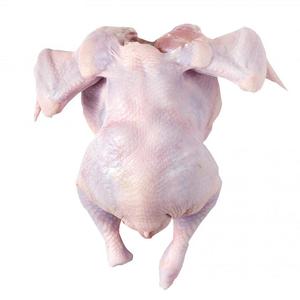 Meilleur poulet halal entier congelé pour l'exportation / Poitrine de poulet, cuisses de poulet, fessiers de poulet - Product Image 6
