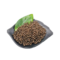 Engrais agricole DAP de qualité supérieure 18-46-0 Vente en gros en vrac Fournisseur pour les acheteurs internationaux