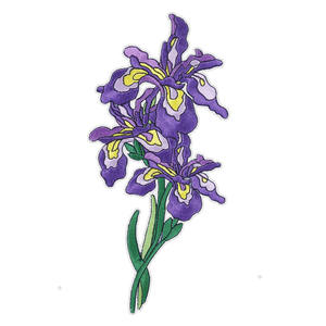 Lucky Bag 10pcs Random Embroidery <b>Patches</b> for Apparel Clothes Decoration Iron <b>On</b> <b>Sew</b> <b>On</b> DIY Fashion Badges Wholesale Factory - Product Image 3