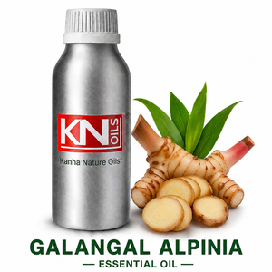 Aceite Esencial de Galangal Alpina 100% Premium, Alpinia Officinarum, Fabricante a Granel, Certificado Orgánico, Exportador Global, Mayorista - Product Image 1