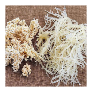 Musgo Marino Natural Seco Sin Sal, Eucheuma Cottonii de Vietnam, Alga Marina Seca al Sol, Ingrediente Crudo, Exportador Mayorista - Product Image 5