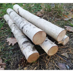 Troncos de madera baratos, troncos de pino y madera de abeto en venta - Product Image 3