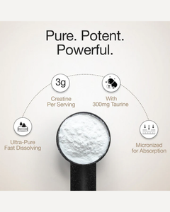 Creatina Monohidrato Natural en Polvo, Calidad Premium, Suministro a Granel para Fabricantes de Nutrición Deportiva y Marcas de Productos de Fitness - Product Image 4