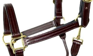 เชือกแขวนคอหนังม้าที่ทนทานสไตล์อังกฤษโลโก้ที่มีคุณภาพระดับพรีเมียมดีไซน์หลากหลายสำหรับม้า - Product Image 2