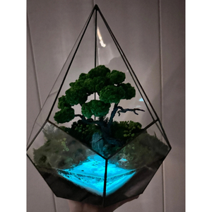 <b>Clear</b> Glass Black Metal Contemporary Handicraft Durable Framed Terrarium Planter <b>Vase</b> for Living Room Luxury Home Table Decor - Product Image 2