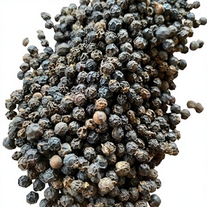 OFERTA ESPECIAL - PIMIENTA NEGRA PREMIUM 500GL 550GL PARA EL MERCADO ESTADOUNIDENSE DEL PRODUCTOR DE ESPECIAS VILACONIC - ANNA DO VILACONIC - Product Image 1