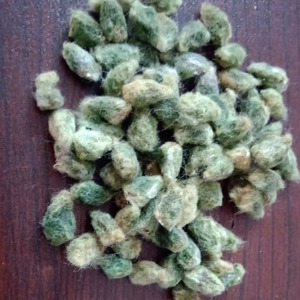 Ingrediente Natural de Semillas Oleaginosas, Incluyendo Semillas de Algodón Procesadas Después de una Criteriosa Selección, con Bolsas de Exportación para Pedidos de Compradores al por Mayor - Product Image 4