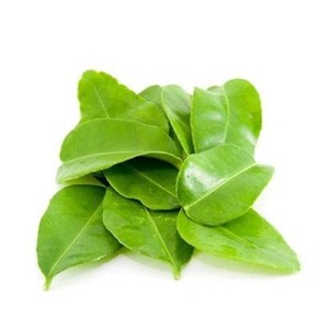 Vietnam hojas de limón hoja de Lima proveedor hoja de Lima mejor precio y alta calidad Sophie - Product Image 5