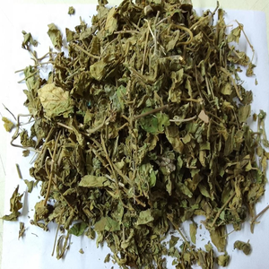 Hojas Secas de Gymnema Sylvestre, Materia Prima Natural de Hojas Secas de Gymnema Sylvestre - Product Image 5