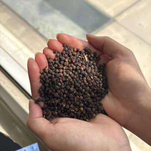 Poivre noir de haute qualité 500gl-600gl FAQ & Nettoyé |   Emballage en sac kraft de 25 kg, 50 kg |   Taille 1-3 mm |   Bon prix en usine (Joice) - Product Image 2