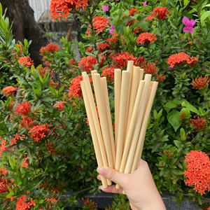 Vente en gros de pailles en bambou bon marché ensemble de thé à bulles en vrac avec logo laser gravé en matériau de haute qualité - Product Image 1