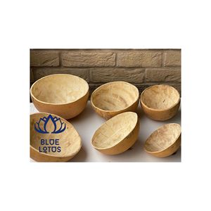 Bol en coquille de calebasse écologique de haute qualité |   Plat à thé en calebasse naturelle pour restaurant - Product Image 1