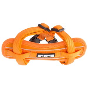 Pettorina Riflettente per Cani Mountaineer, Facile da Indossare, Regolabile con Compressione Toracica per Animali Attivi - Product Image 1