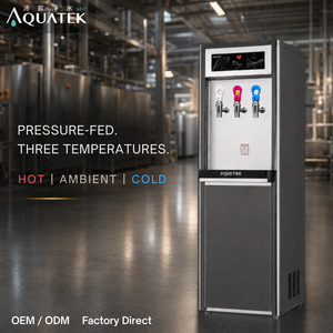 Distributeur d'eau chaude/ambiante/froide électrique en acier inoxydable AQ-9113, réservoirs de 5L/3L, interrupteur de sécurité, utilisation facile pour les hôtels commerciaux - Product Image 1