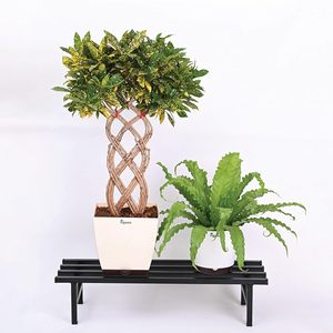 Support de plante minimaliste moderne en métal, support carré suspendu, résistant à la rouille, revêtement en poudre noire, support pour fleurs et plantes vertes - Product Image 6
