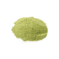 Poudre de Moringa de haute qualité, 1 kg, prix de gros, qualité supérieure, directement de l'usine