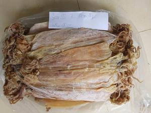 Calamar séché naturellement au soleil du Vietnam – Produit de la mer séché en gros pour la restauration, le service alimentaire et le marché de détail - Product Image 4