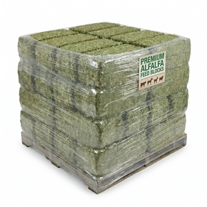 Heno de Alfalfa para Caballos, Alimento para Ganado, Heno Seco de Alta Nutrición, Alimento para Animales, Grado Alimenticio, Venta al por Mayor, Suministro a Granel, Fabricante, Exportación - Product Image 1