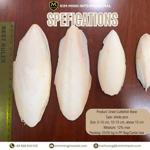 Hueso de Sepia Seco de Alta Calidad - Calcio Natural para Aves, Mascotas y Alimento Animal - Product Image 2