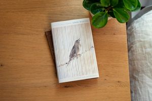 เมื่อตื่นจากความหลับใหล โดย แจ็กกี้ ฮิลล์ เพอร์รี หนังสือปกอ่อนขายดีสำหรับผู้ใหญ่ - Product Image 3