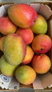 Rodajas de Mango Seco Premium, Fruta Tropical con Sabor Dulce, Textura Masticable, Aroma Intenso, Cuidadosamente Seleccionadas, Acabado Premium Roma - Product Image 4