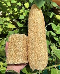 Esponja de Lufa Seca Natural Ecológica, Exfoliante Corporal Orgánico, Almohadilla Exfoliante para Baño, Logotipo Personalizado para Baño y Cocina - Product Image 3