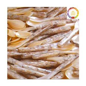 Cuchara de Nácar |   Concha Natural |   Uso de Regalos de Lujo |   Marca OEM |   Exportación a granel - Product Image 1